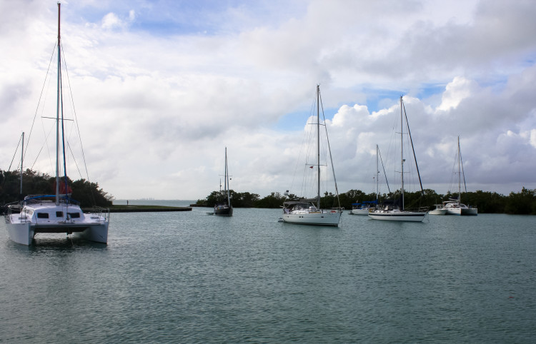 1/4 of the boats packed into No Name Harbour